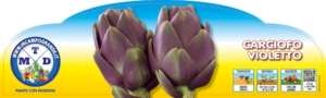 Piante da orto per tutto l'anno - CARCIOFO VIOLETTO - Carciofo prime plant
