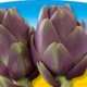 Piante da orto per tutto l'anno - CARCIOFO VIOLETTO - Carciofo prime plant