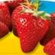 Piante da orto estivo autunnali - FRAGOLA RIFIORENTE - Fragole prime classic