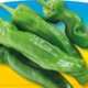 piante da orto primaverili - PEPERONE FRIGGITELLO - Peperoni prime classic