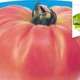 piante da orto primaverili - POMODORO BUFFALOPINK - Pomodoro premium