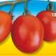 piante da orto primaverili - POMODORO CENCARA - Pomodoro prime classic