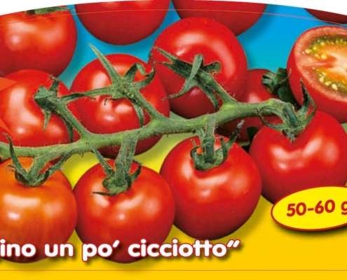 piante da orto primaverili - POMODORO CILIEGIOTTO - Pomodoro prime plant