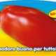 piante da orto primaverili - POMODORO COLIBRI - Pomodoro premium