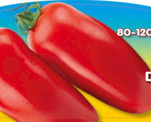 piante da orto primaverili - POMODORO LUNGO DA INDUSTRIA - Pomodoro prime classic