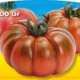 piante da orto primaverili - POMODORO MARINDA - Pomodoro prime plant