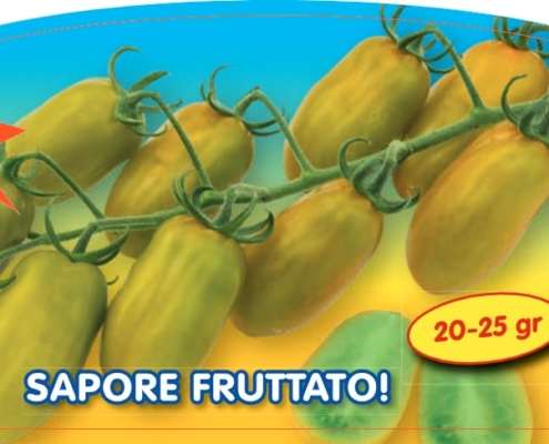 POMODORO DATTERINO MANGO