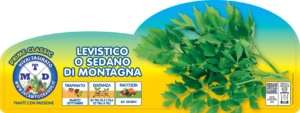 LEVISTICO O SEDANO DI MONTAGNA_page-0001
